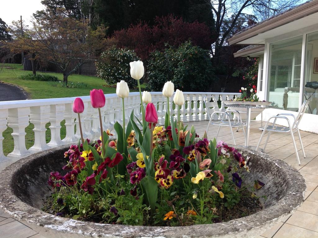 Bed and Breakfast Menabillie Manor à Bowral Extérieur photo